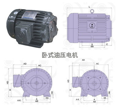 如何選擇高效穩(wěn)定的油泵電機(jī)？從價(jià)格到性能的全方位解析